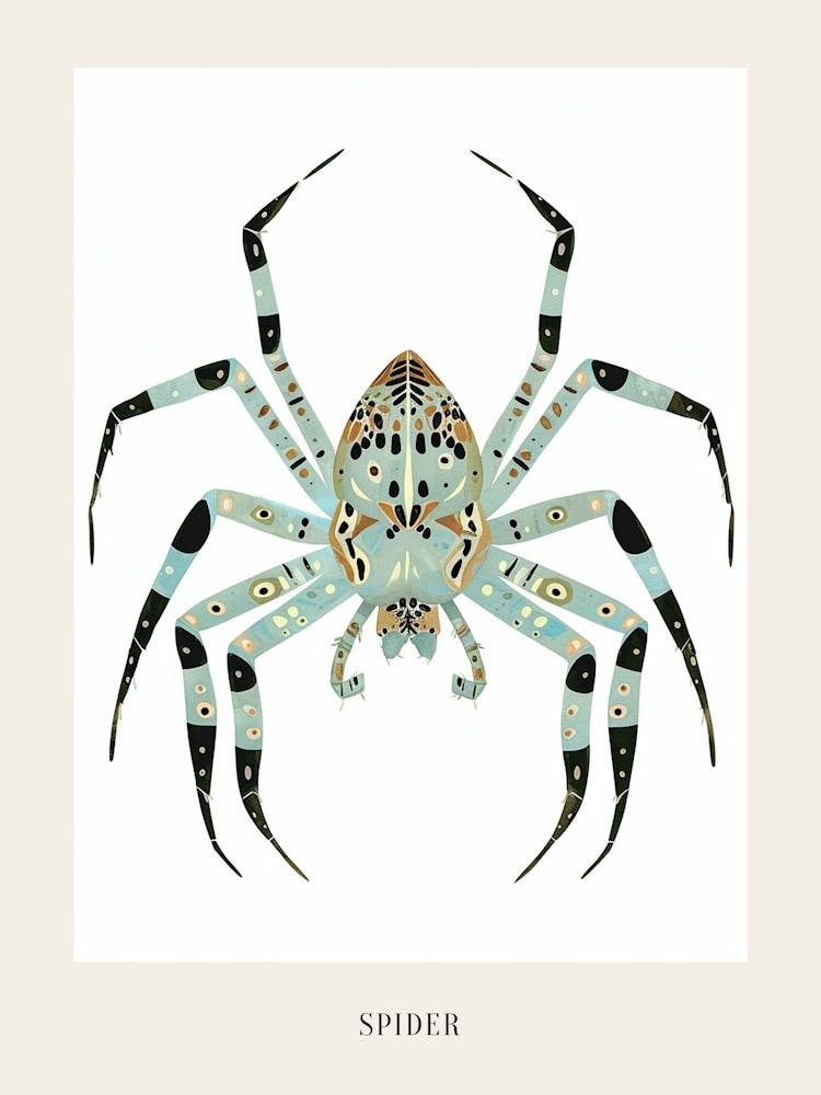 Colourful Insect Illustration Spider 7 Poster