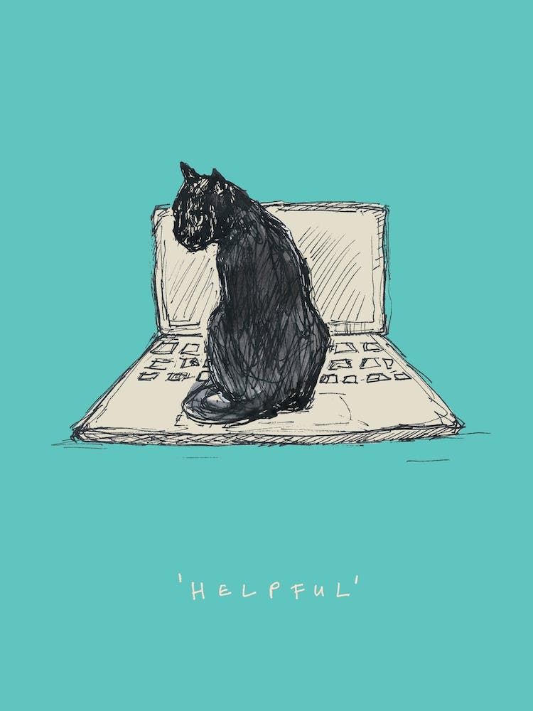 Helpful Cat