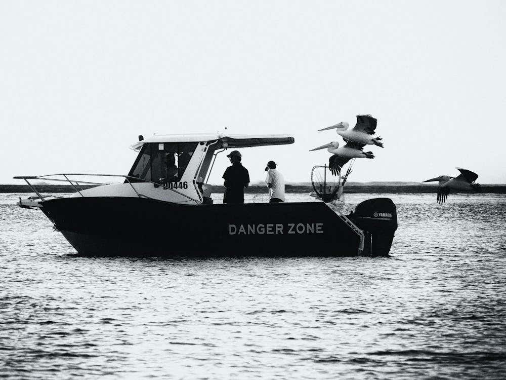Pelican Danger Zone