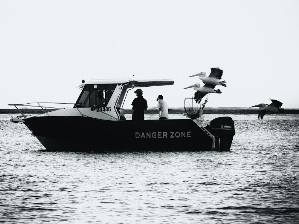 Pelican Danger Zone