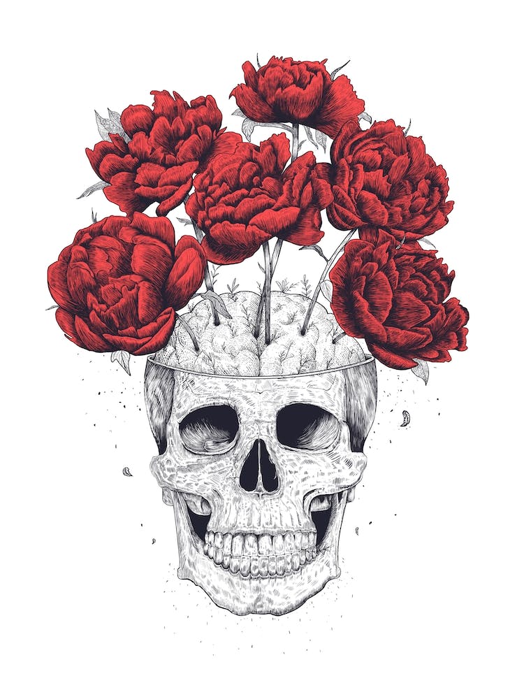 Skull With Red Peonies