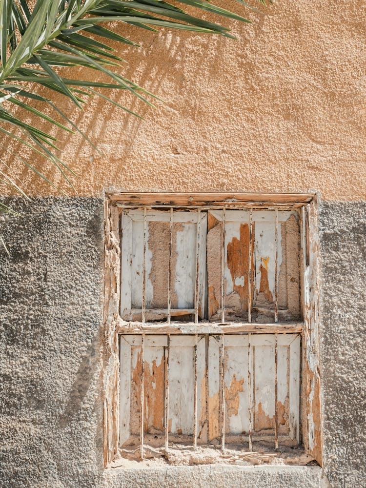 Window With Shadow