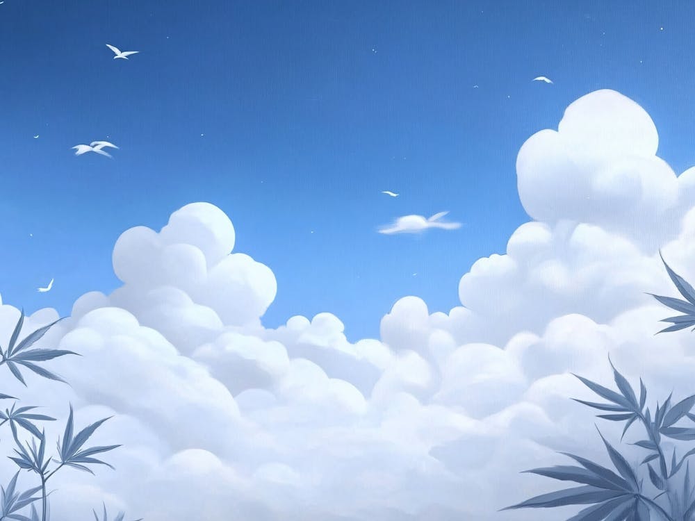 Clouds In The Sky 1