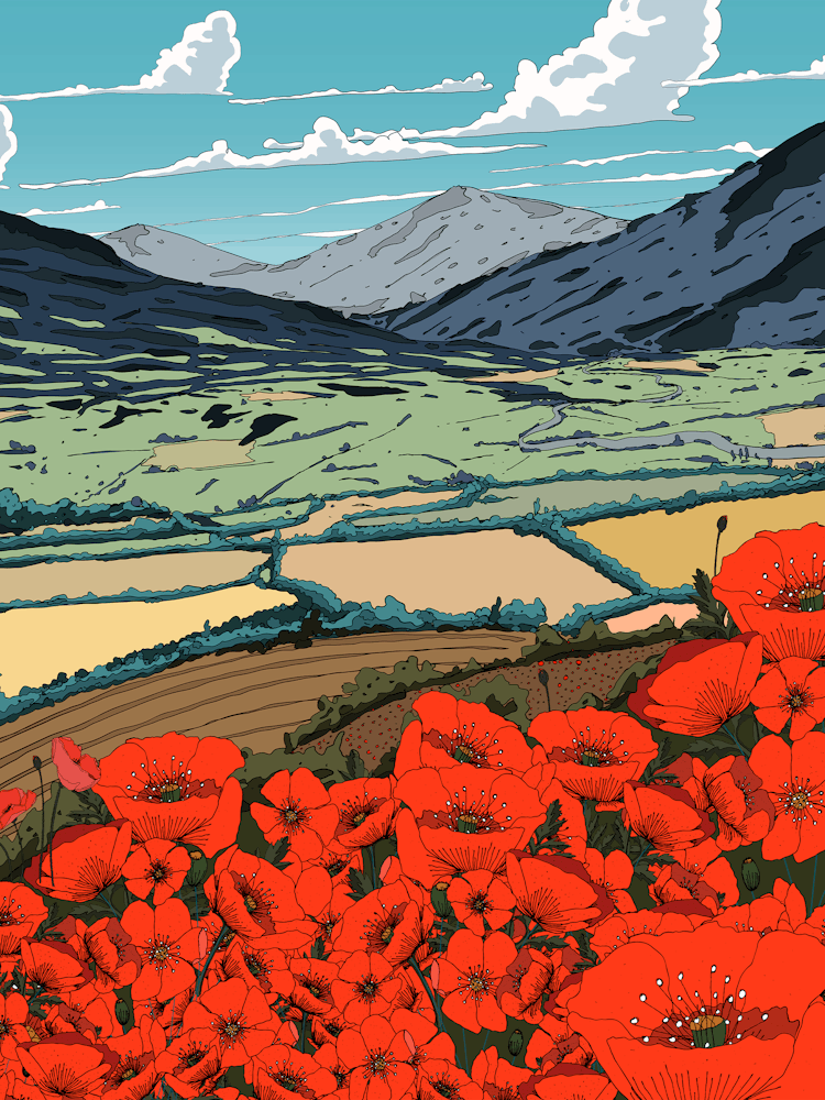 Poppies In The Valley 1