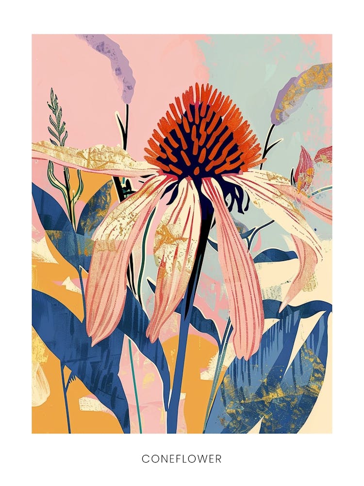 Colourful Flower Illustration Poster Coneflower 1