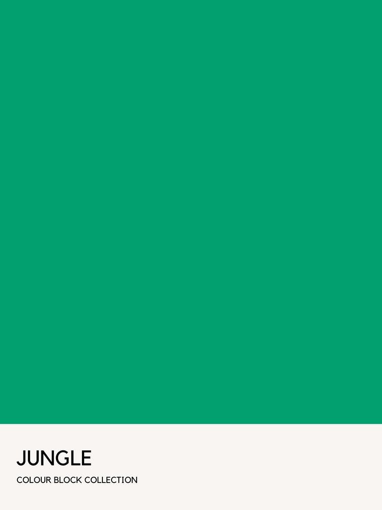 Jungle Colour Block Poster