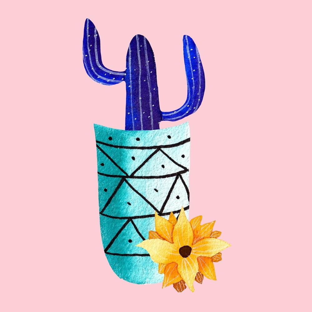 Galaxy Cactus Square