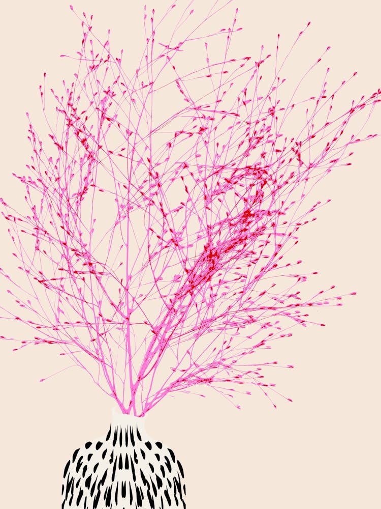 Plant based happyness Millet still life