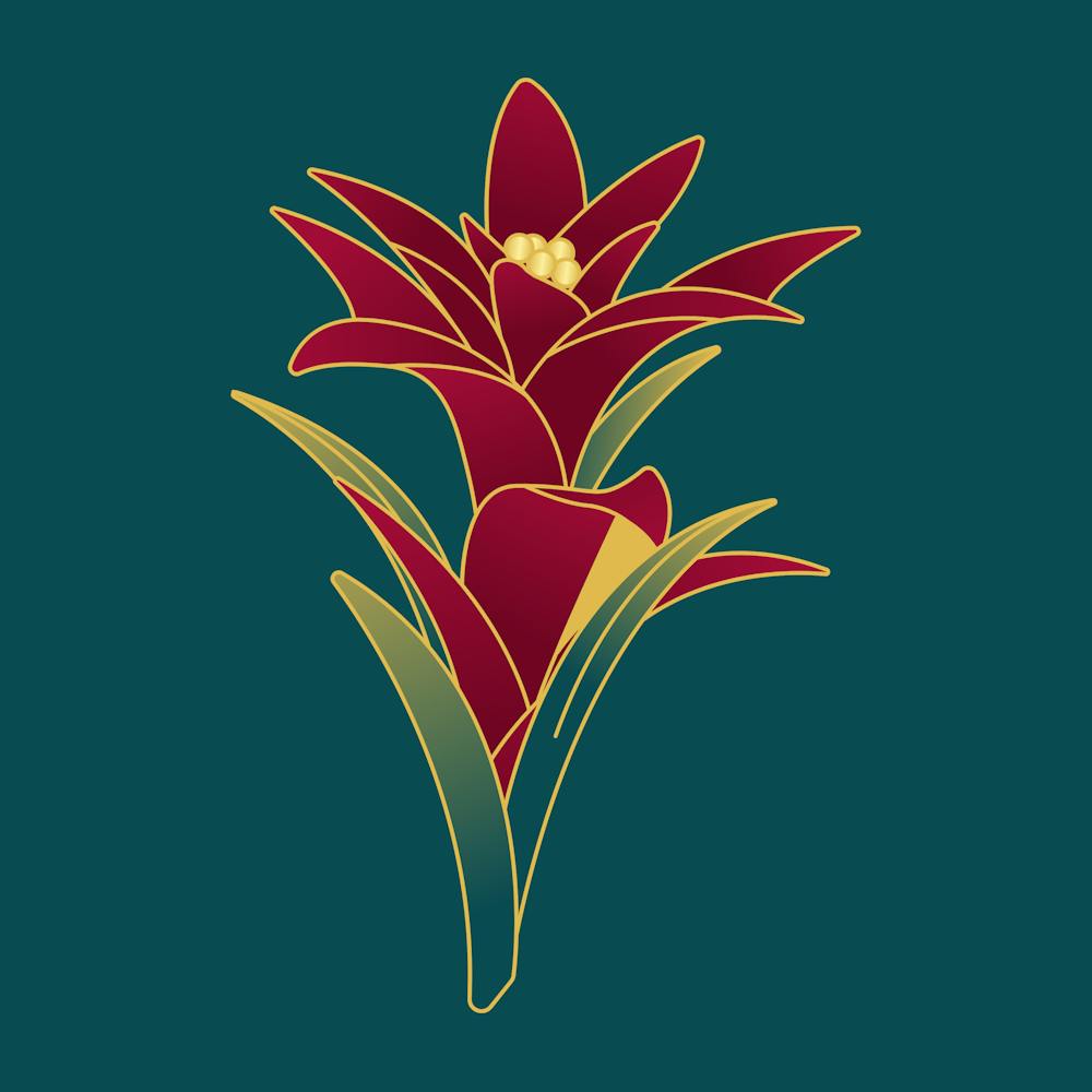 Red Flower On A Green Background