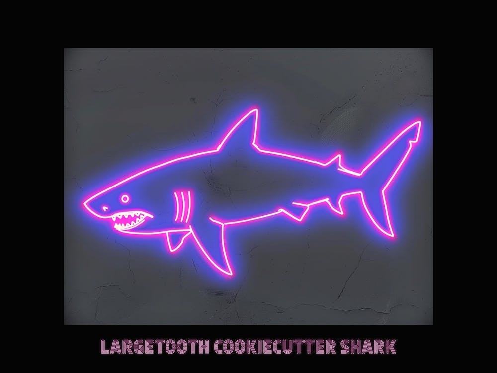 Neon Pink Largetooth Cookiecutter Shark 3 Poster