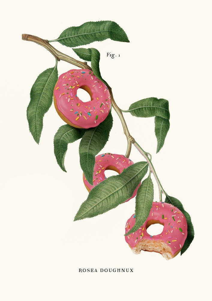 Donut Plant