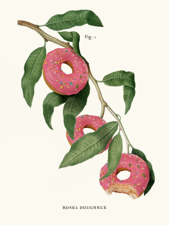 Donut Plant