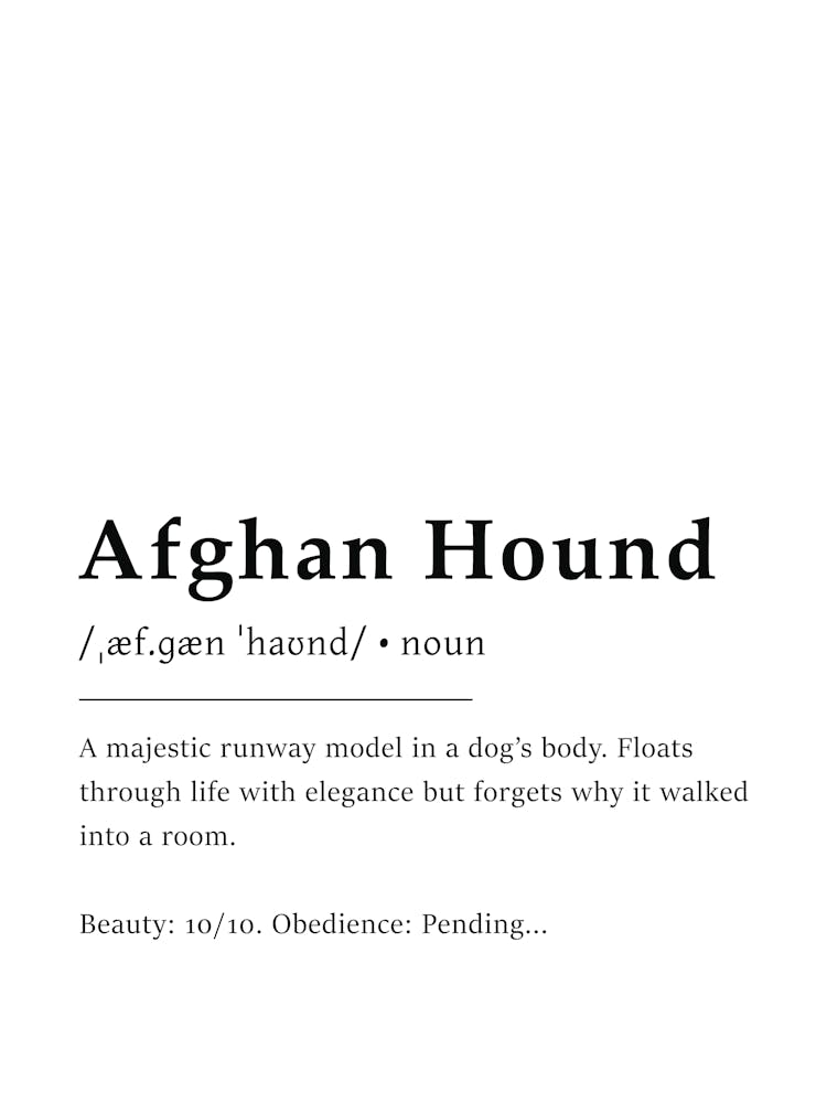 Afghanischer Windhund Definition Poster - Wörterbuch