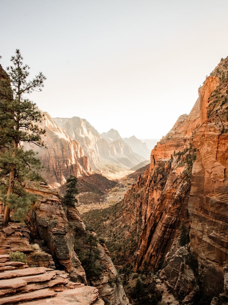 Zion Desert Canyon