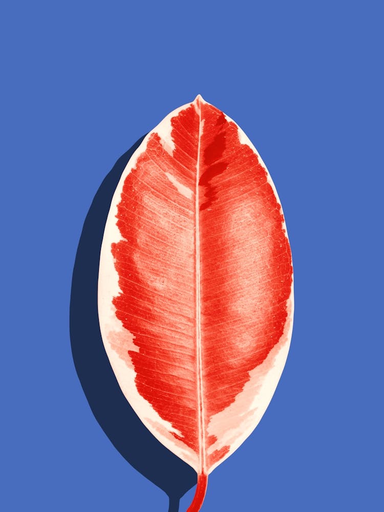 Garden leaf 4