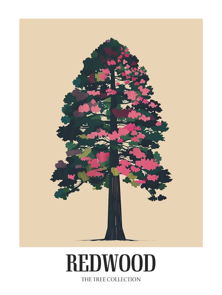 Redwood Tree Colourful Illustration 1 Poster