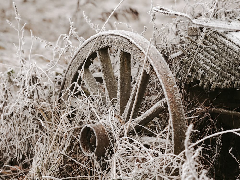 Frosted Wagon Wheel