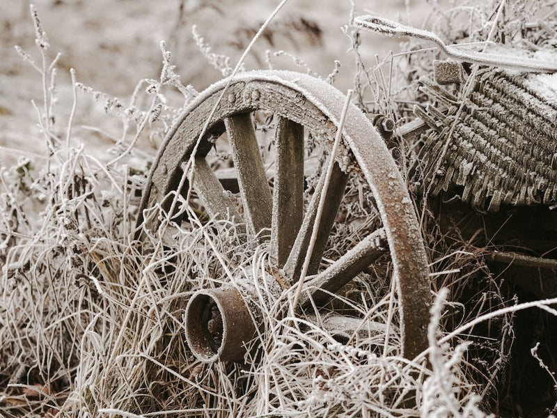 Frosted Wagon Wheel