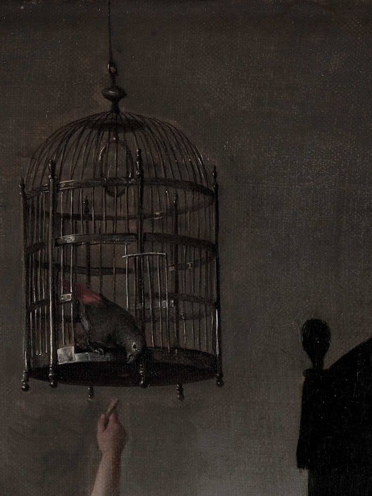 Bird In A Cage