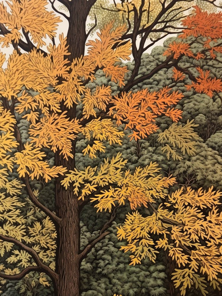 Black Ash 2 Vintage Autumn Tree Print 