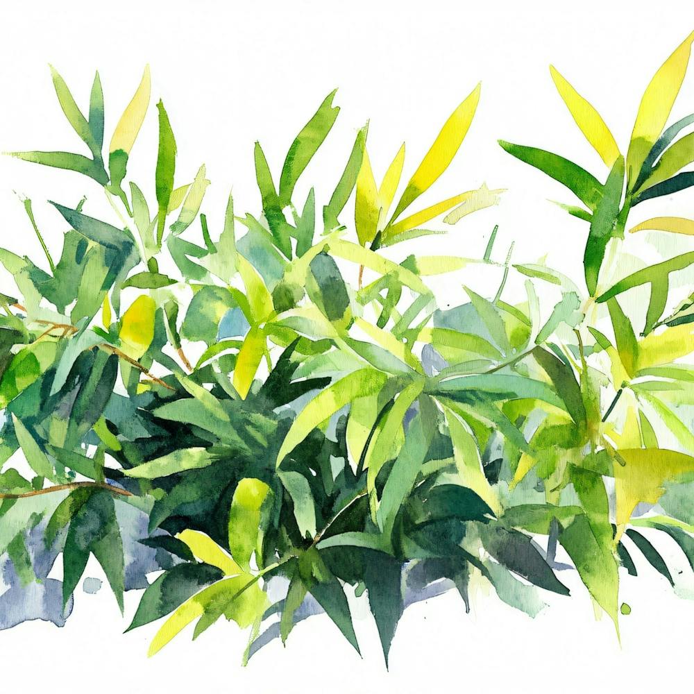 Bamboo Watercolor