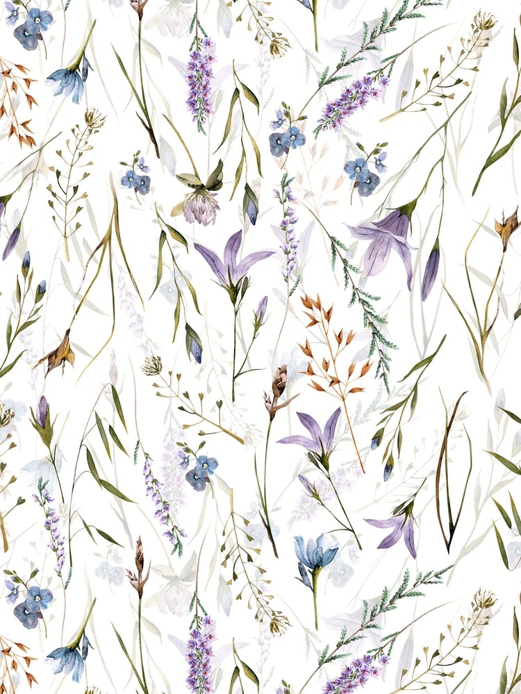 Scandinavian Midsummer Wildflowers And Grasses Meadow