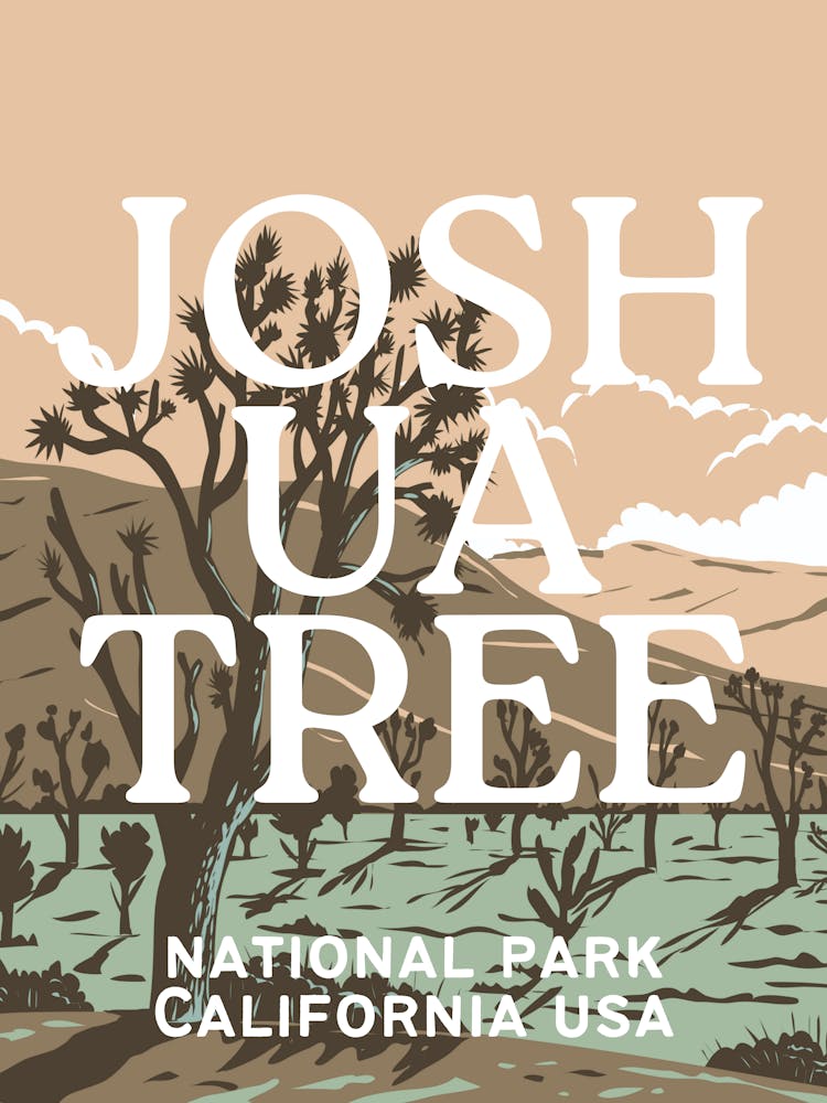 Joshua Tree National Park | California Desert Travel Landscape Scenery 7