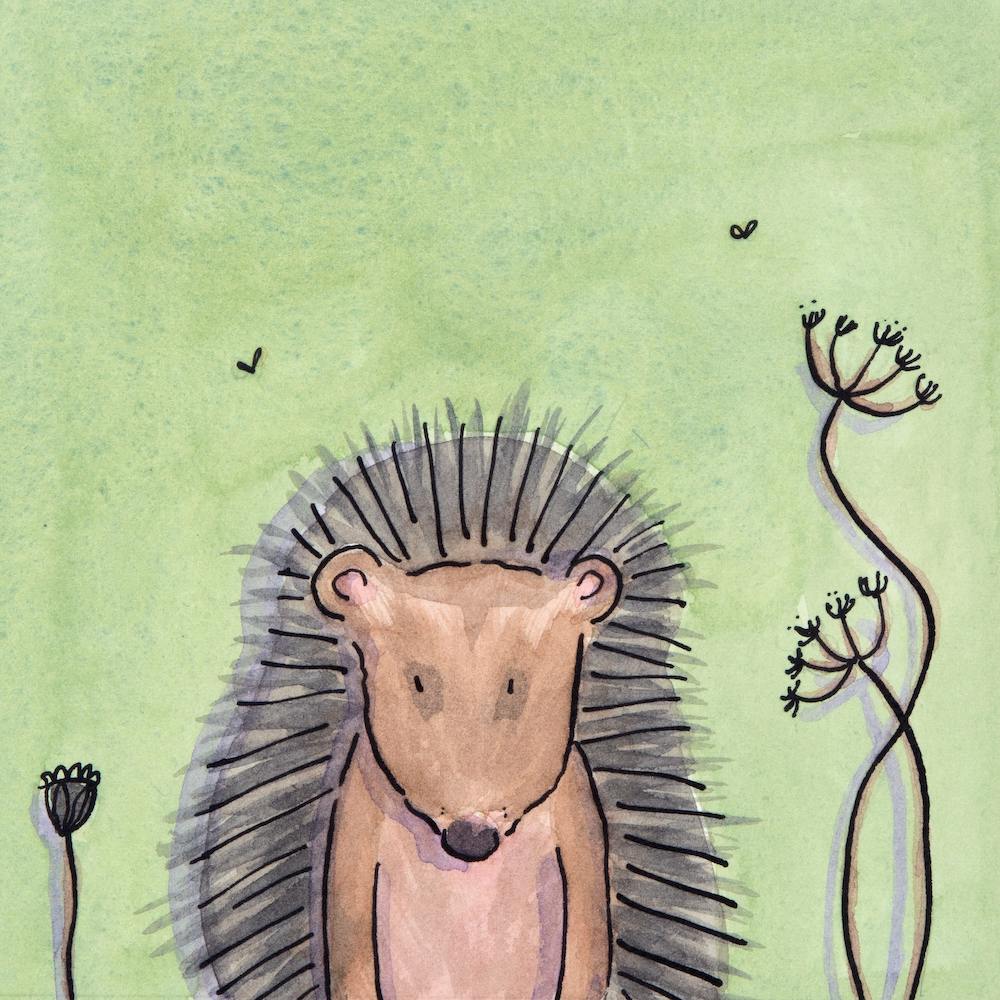 Hermione Hedehog Square