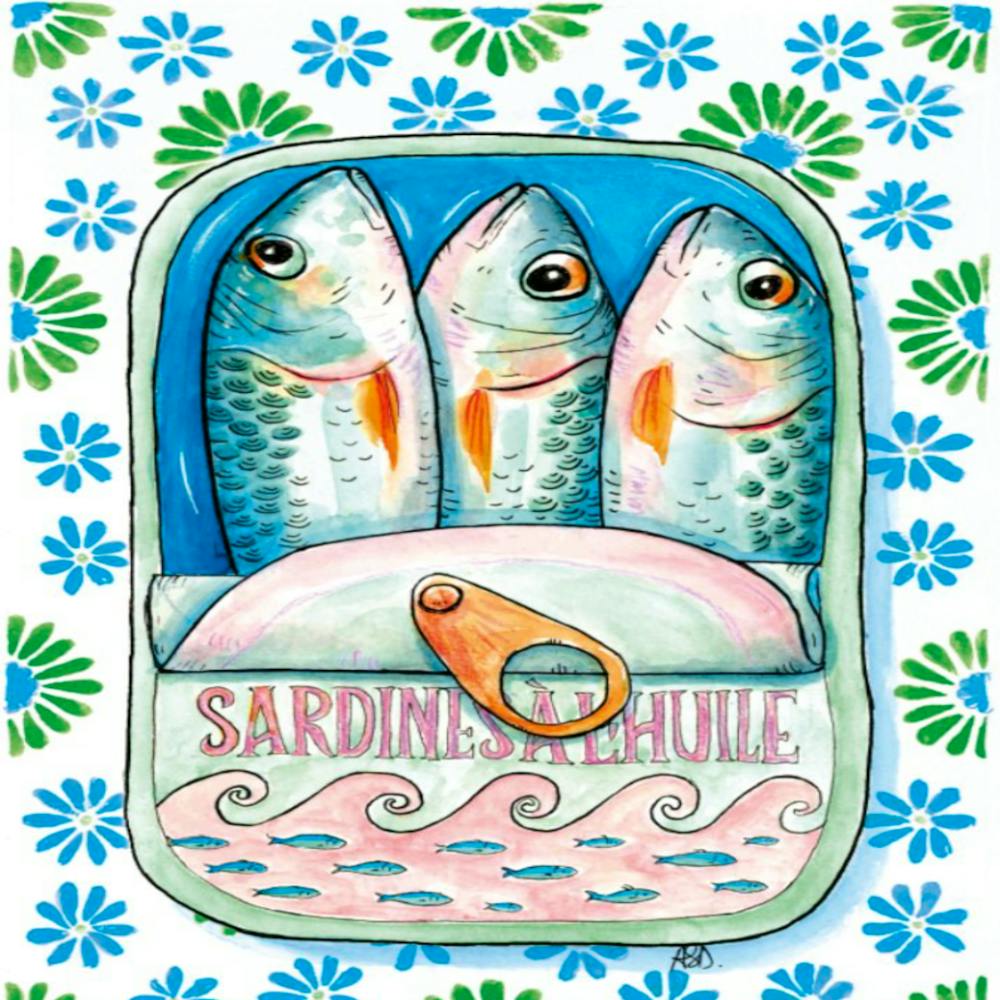 Sardine 1