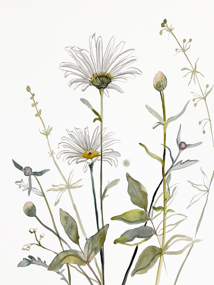 Meadow Study 4
