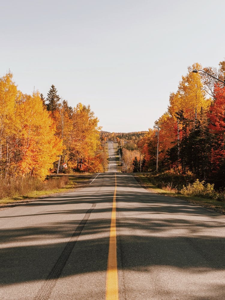 New England Fall