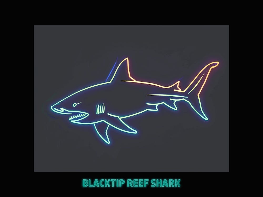Neon Blacktip Reef Shark 4 Poster