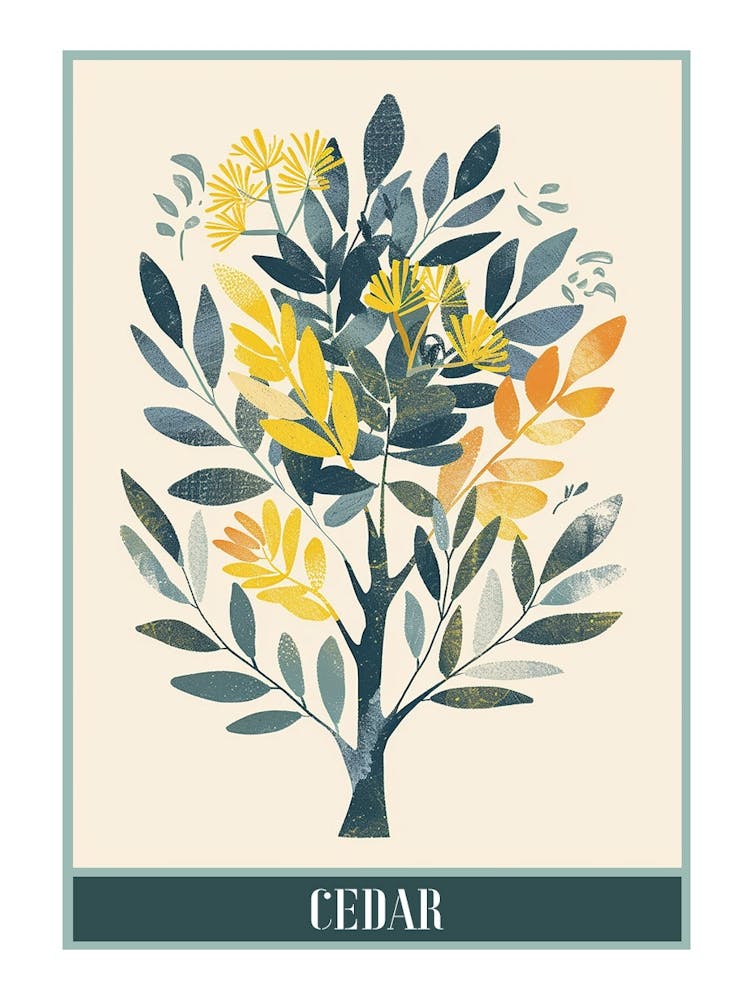 Cedar Tree Flat Illustration 4 Poster