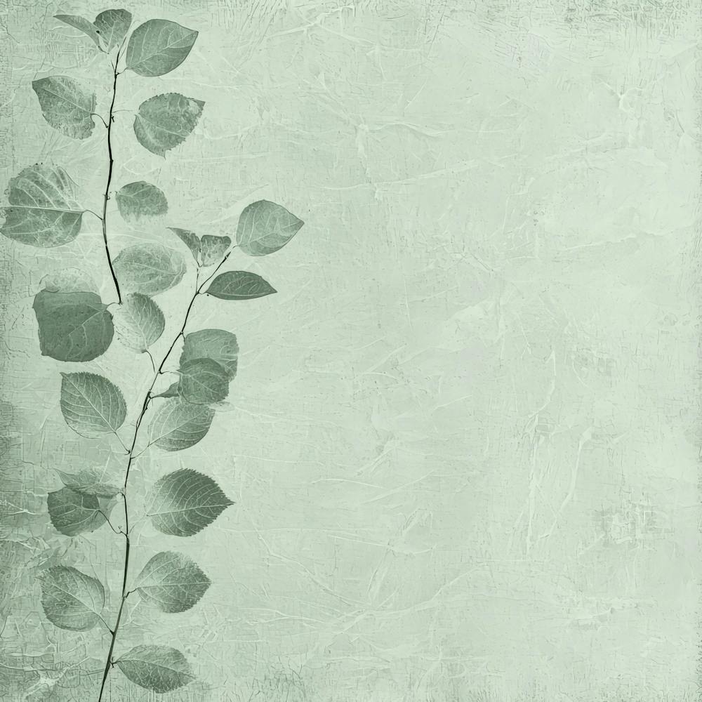Fond Grunge Avec Feuilles