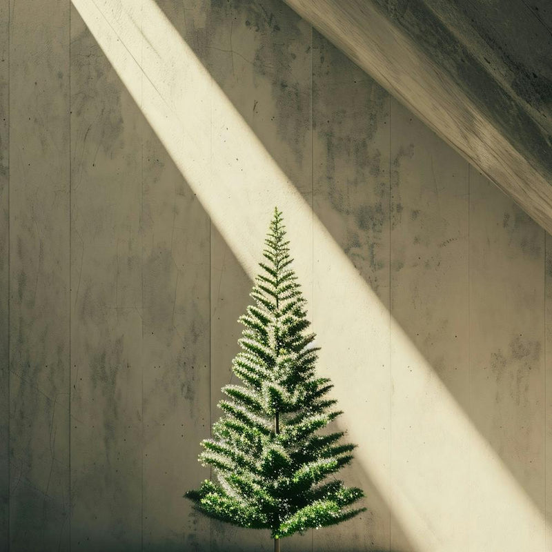 Christmas Tree In A Room