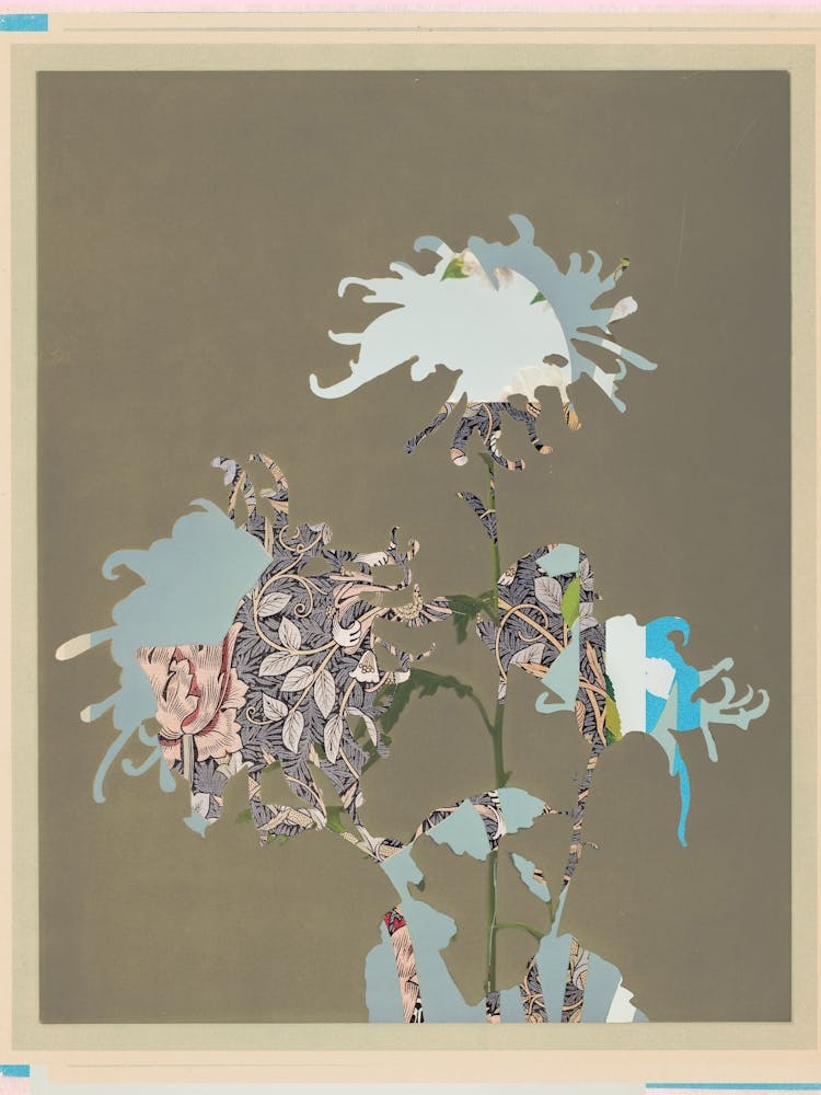 The First Plant · C