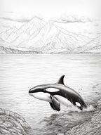 Minimalist Pencil Drawing Of Orca Whale With Icy Mountains