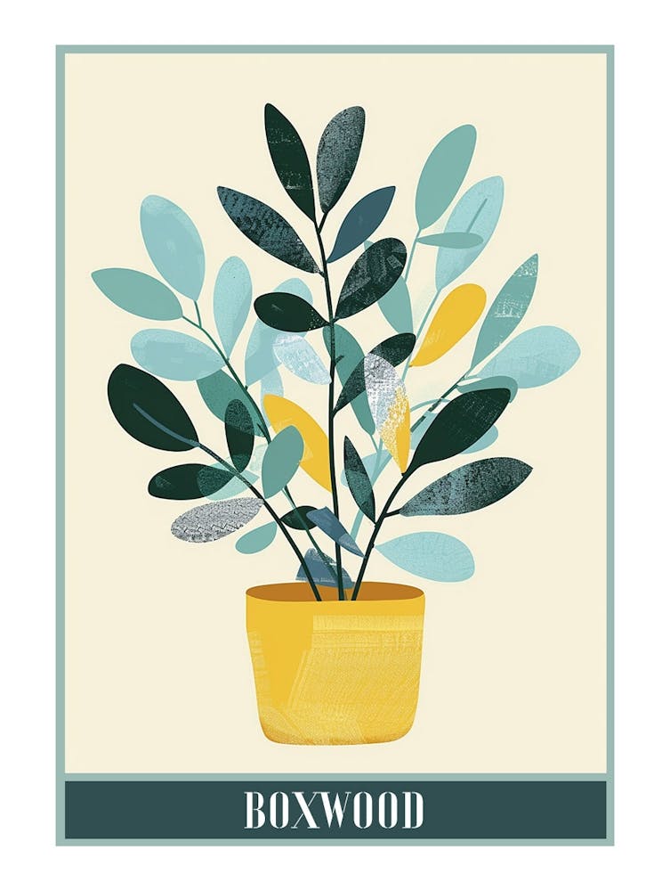 Boxwood Tree Flat Illustration 2 Poster