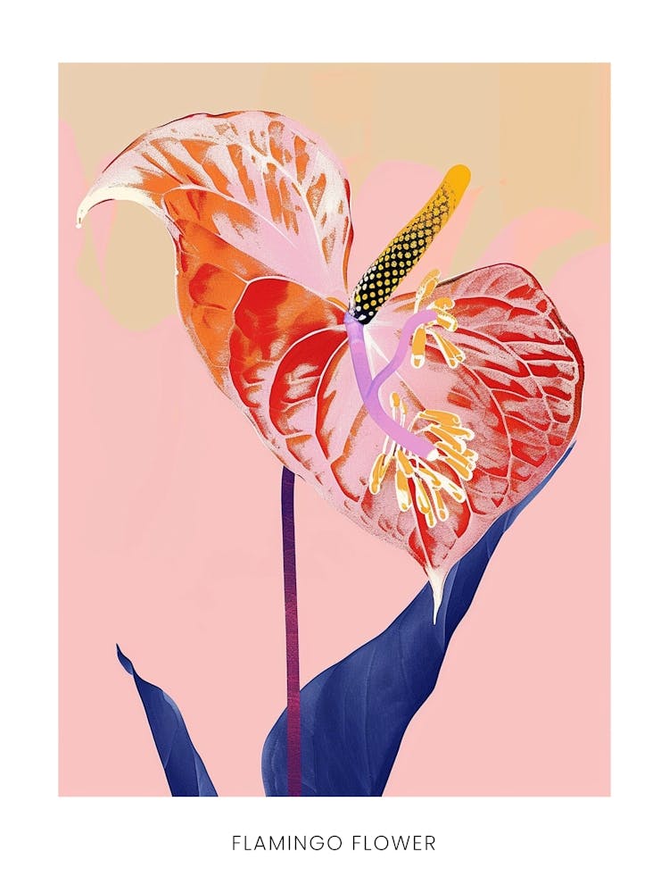 Colourful Flower Illustration Poster Flamingo Flower 2