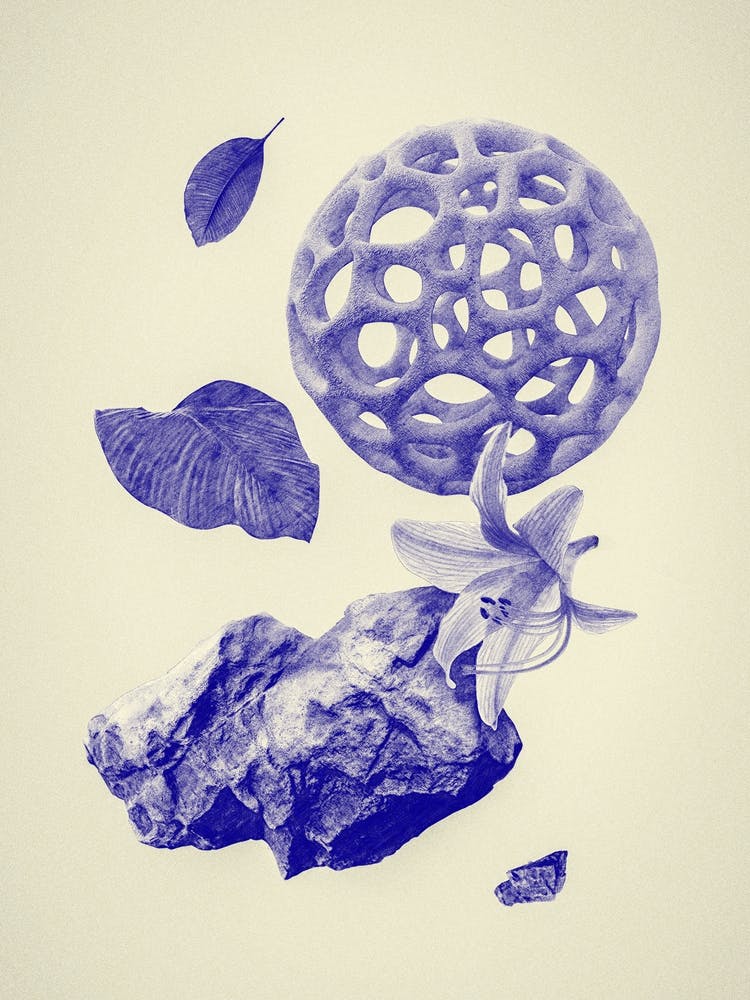 Nature #1