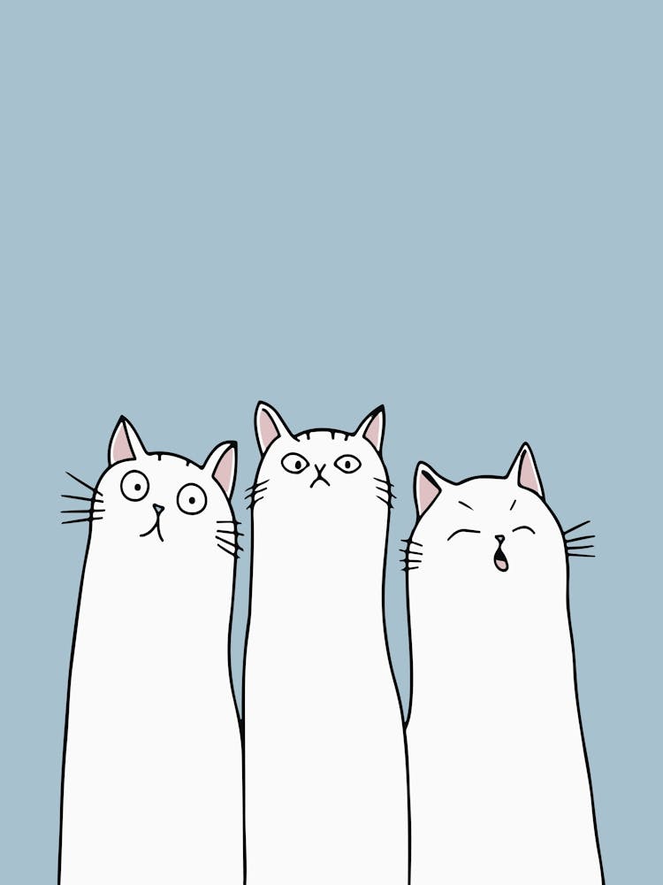 The Cats