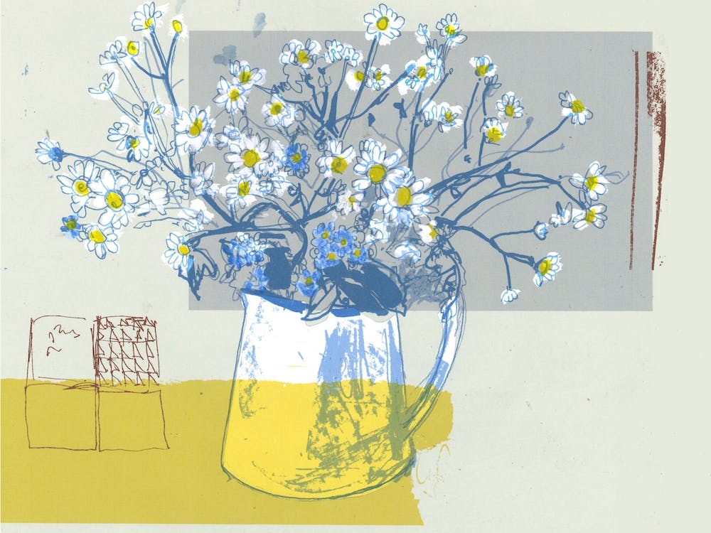 Daisies In White Jug 