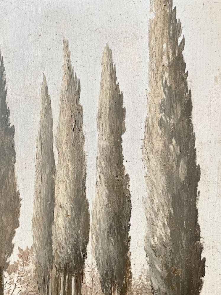 Cypress Trees 5