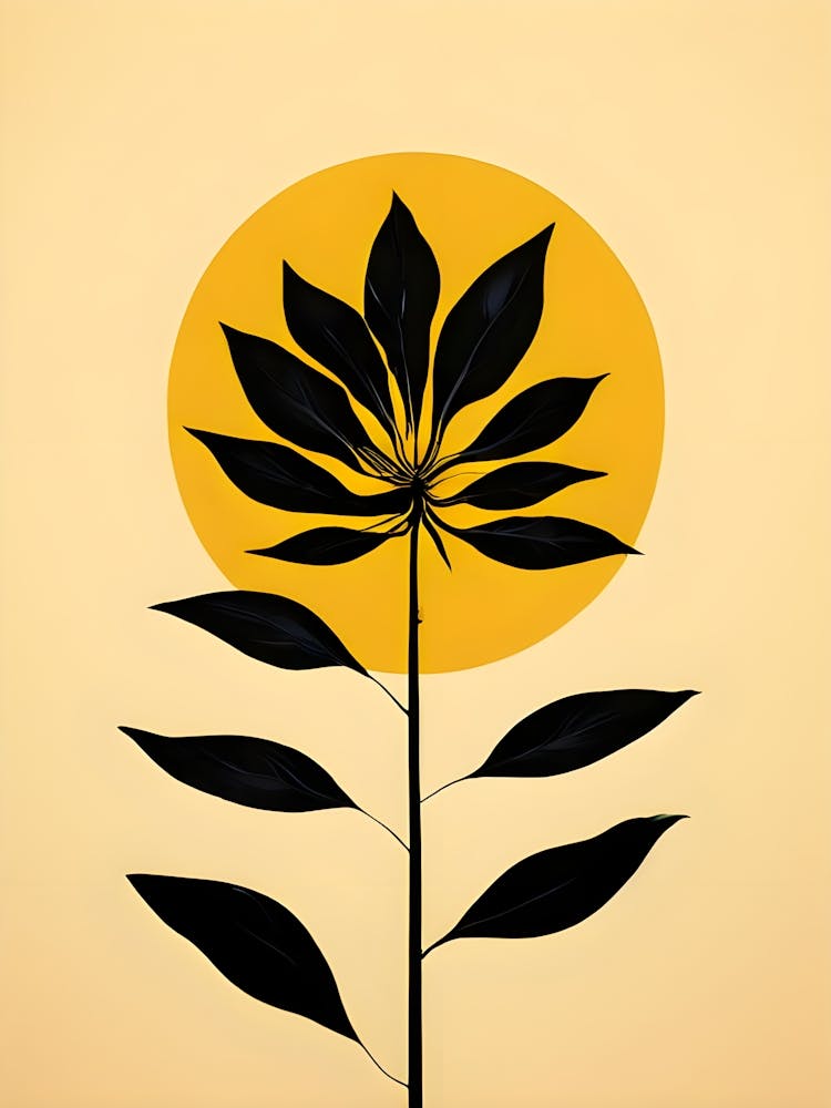 Sunflower 4