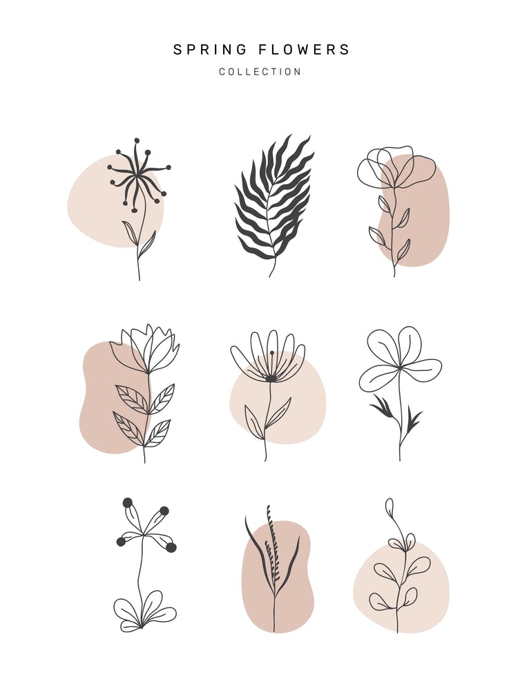 Spring Flowers