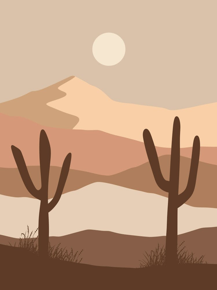Cactus Dans Le Désert 22