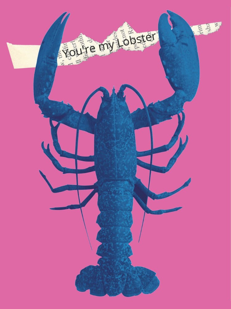 You'Re My Lobster