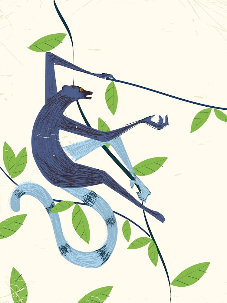 Monkey On A Branch