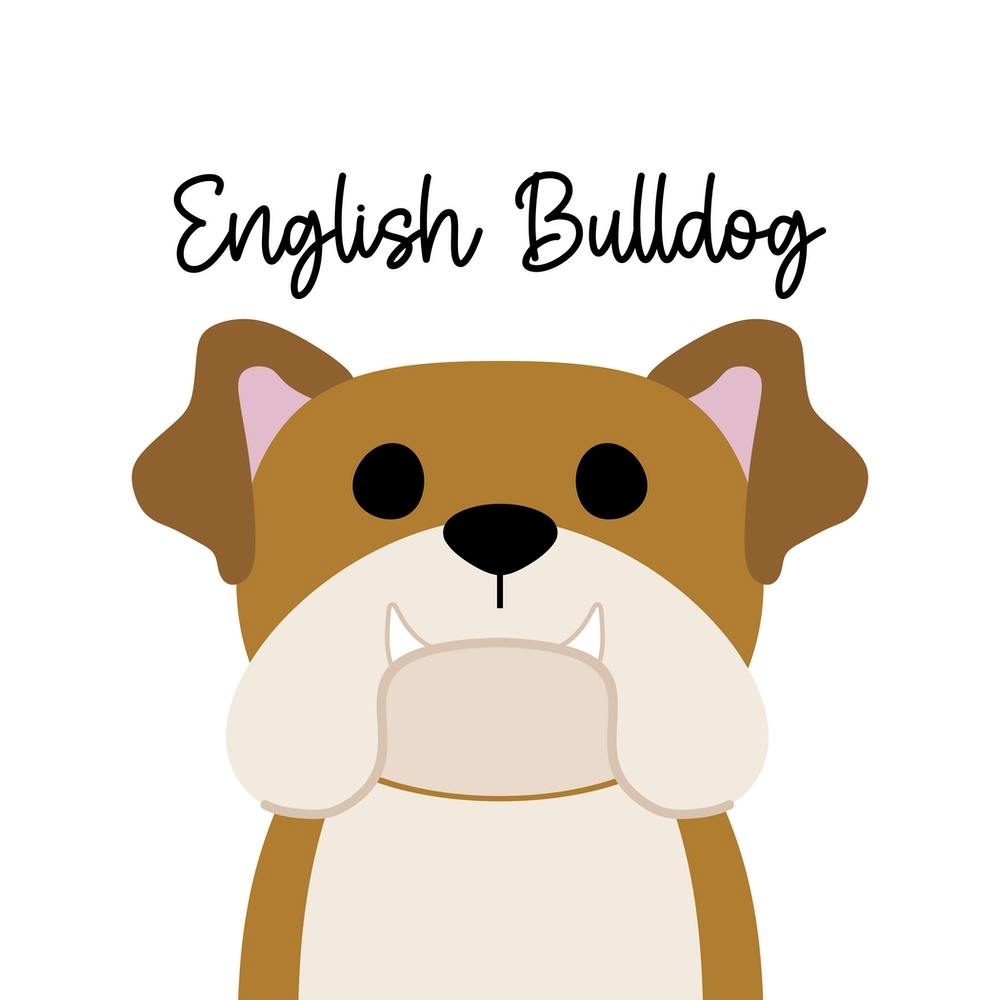 English Bulldog