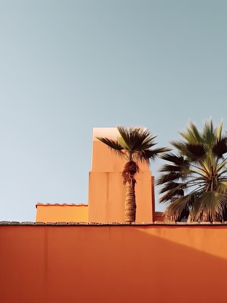 Oranges Haus Mit Palmen Retro Sommer Fotografie 3
